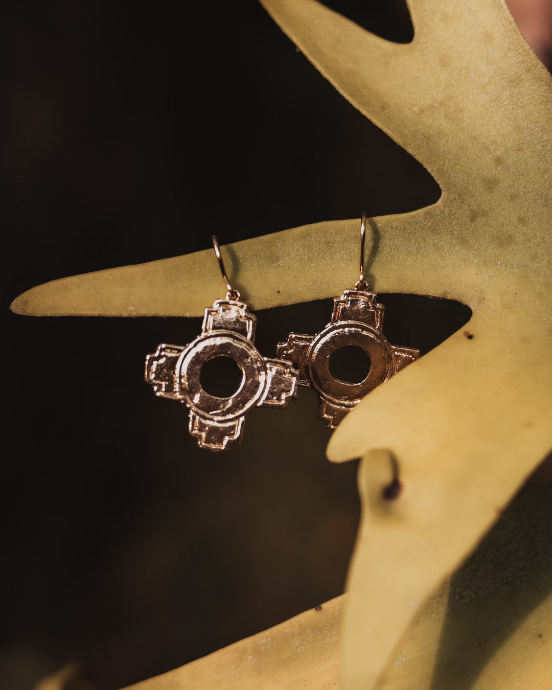 Tuku Ñawin Earrings